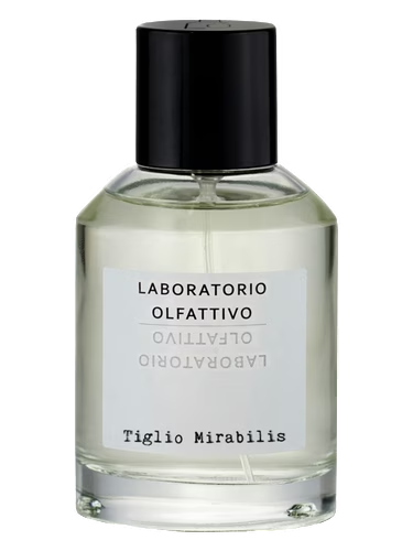 Tiglio Mirabilis