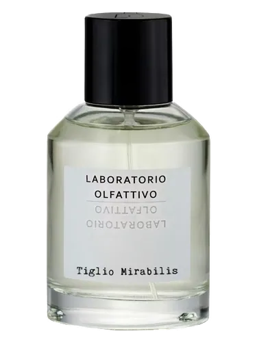Tiglio Mirabilis by Laboratorio Olfattivo