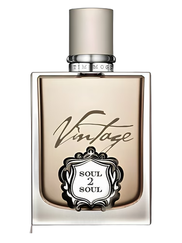 Tim McGraw Soul2Soul Vintage