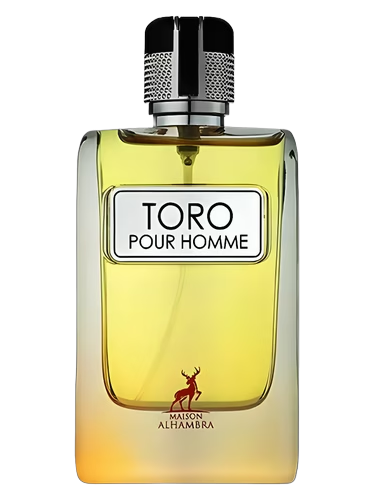 Toro Pour Homme