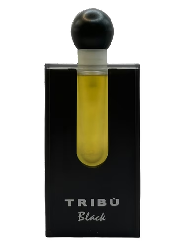 Tribu Black Pour Homme