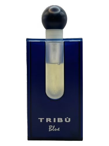 Tribu Blue Pour Homme