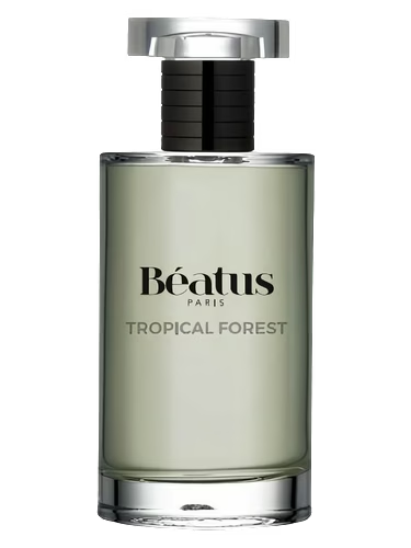 Tropical Forest