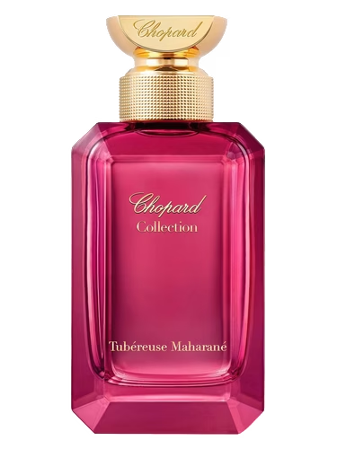 Tubéreuse Maharané