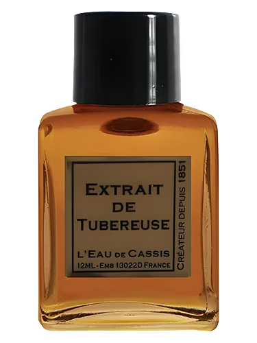 Tubereuse