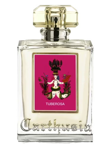 Tuberosa