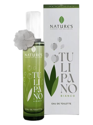 Tulipano Bianco by Nature's