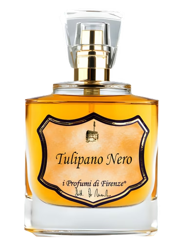 Tulipano Nero