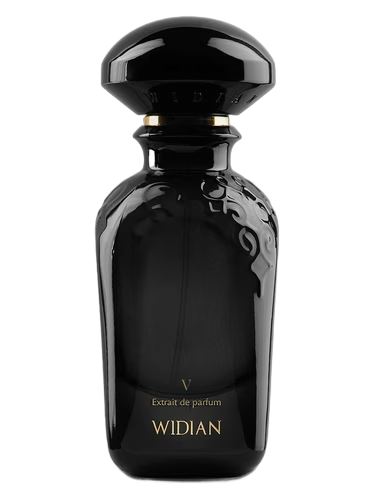 V by WIDIAN