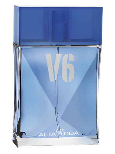 V6 by Alta Moda