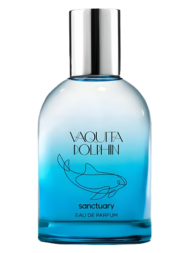 Vaquita Dolphin