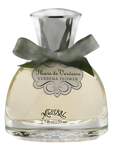 Verbena Flower by Mistral