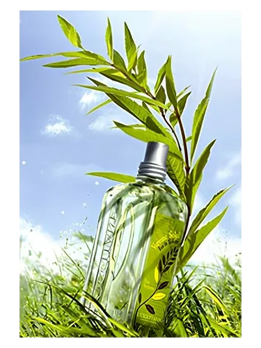 Verbena Sun by L'Occitane en Provence