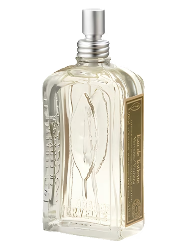 Verveine