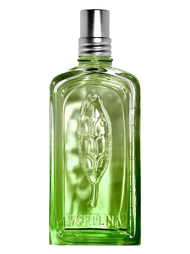 Verveine Cactus