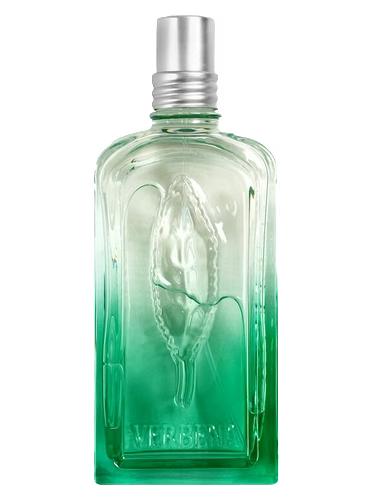 Verveine Fleur de Carotte