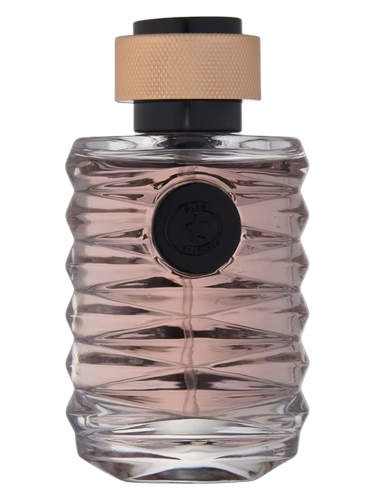Vortex by RING