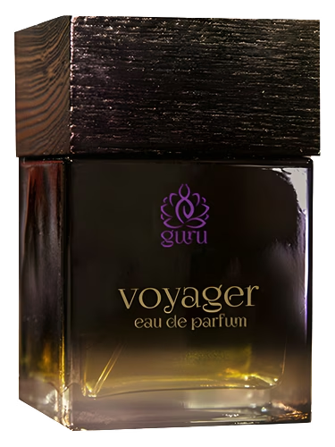 Voyager