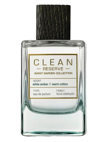 White Amber & Warm Cotton