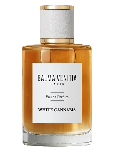 White Cannabis