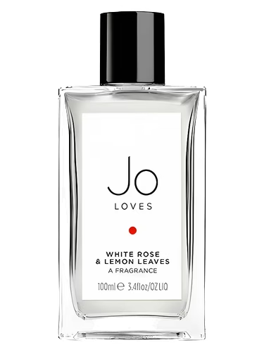 White Rose & Lemon Leaves