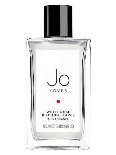White Rose & Lemon Leaves by Jo Loves