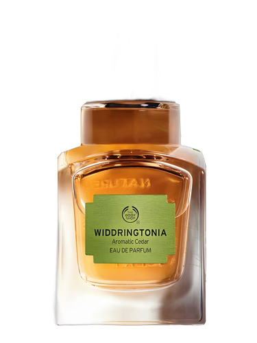 Widdringtonia by The Body Shop