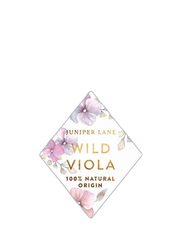Wild Viola