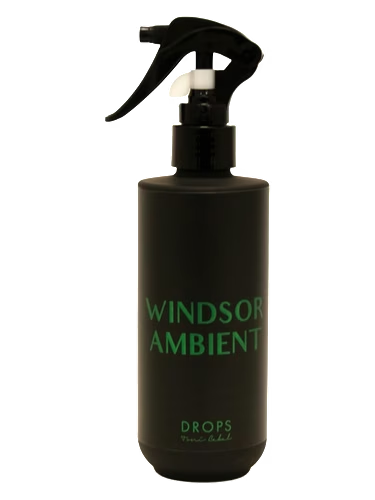 WINDSOR AMBIENT