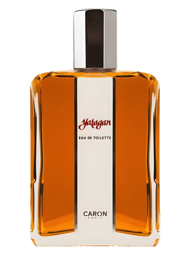 Yatagan