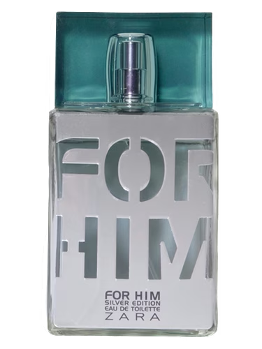 Zara for Him Silver
