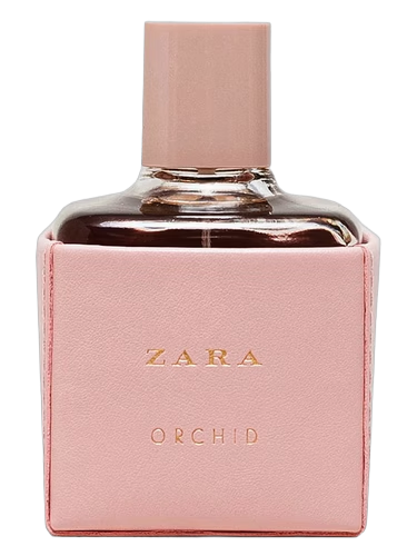 Zara Orchid 2016 by Zara