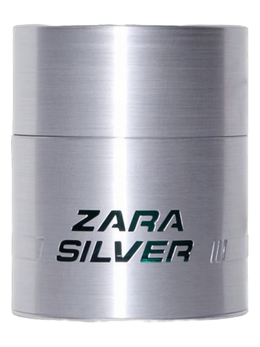 Zara Silver