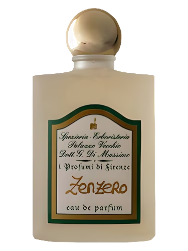 Zenzero